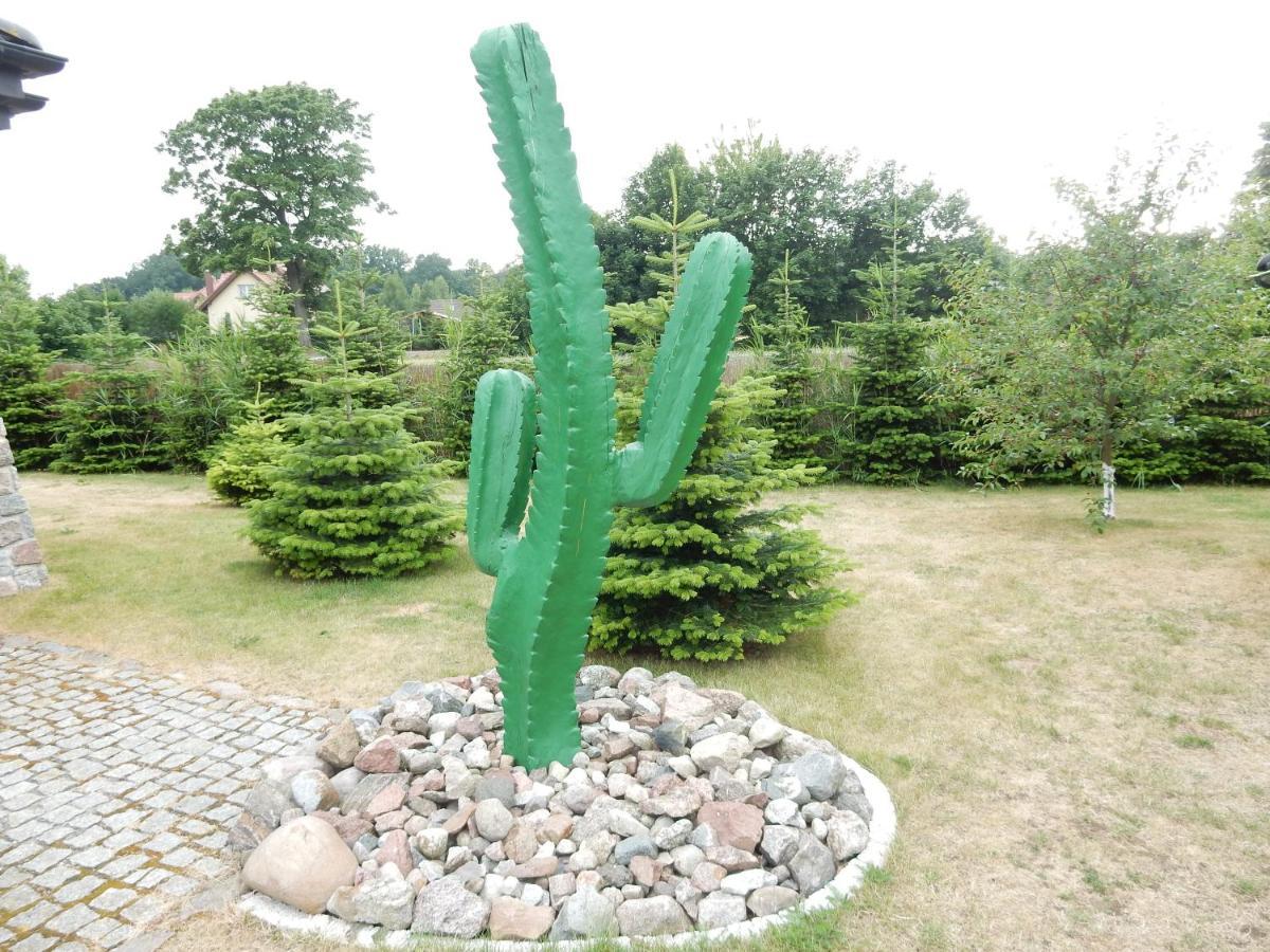 Domki Kaktus Osieki  Exteriör bild